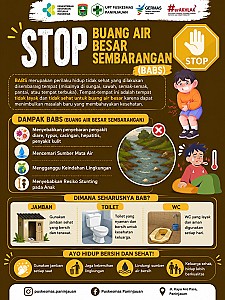 Poster Kegiatan Puskesmas Paninjauan - foto 5